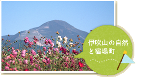 自然を感じる癒しの旅
