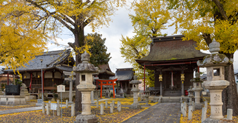 5.岡本神社（小谷丁野観音堂）