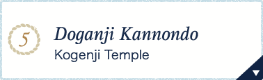 5.Doganji Kannondo Kogenji Temple