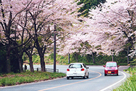 琵琶湖ビューポイントドライブ
