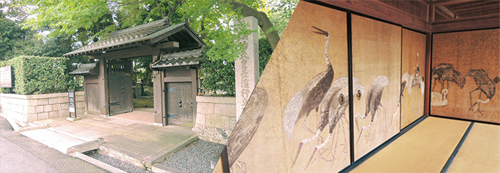 メインイメージ