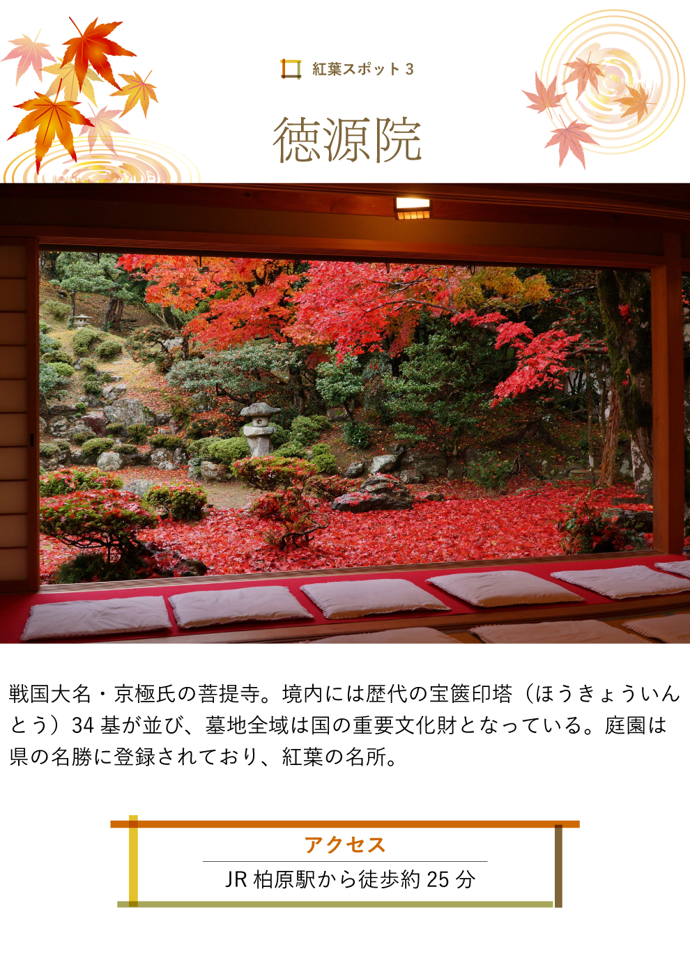 紅葉スポット 小谷城跡