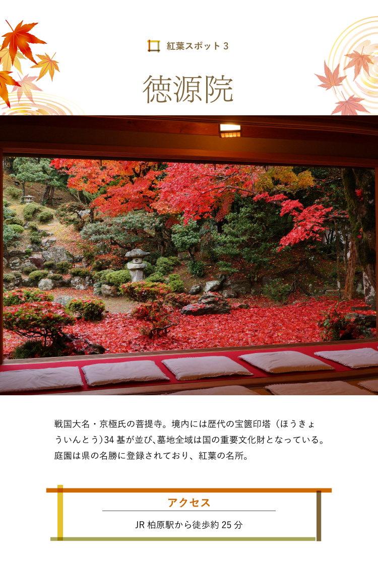 紅葉スポット 小谷城跡