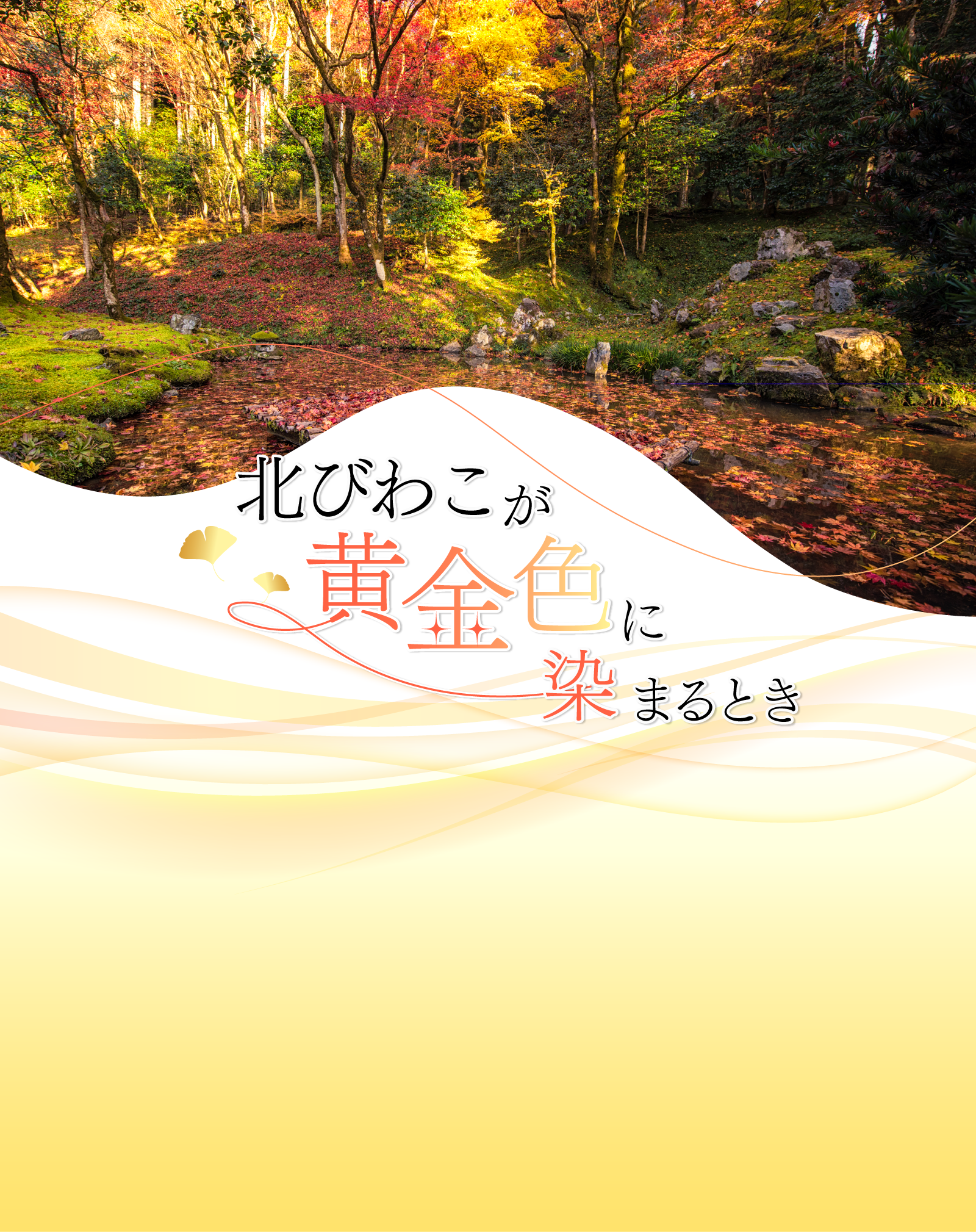 北びわこが黄金色に染まるとき PC用の大きな画像