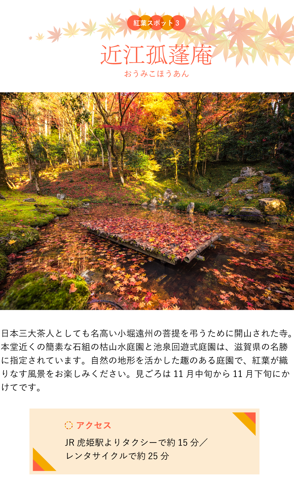 紅葉スポット 近江孤篷庵