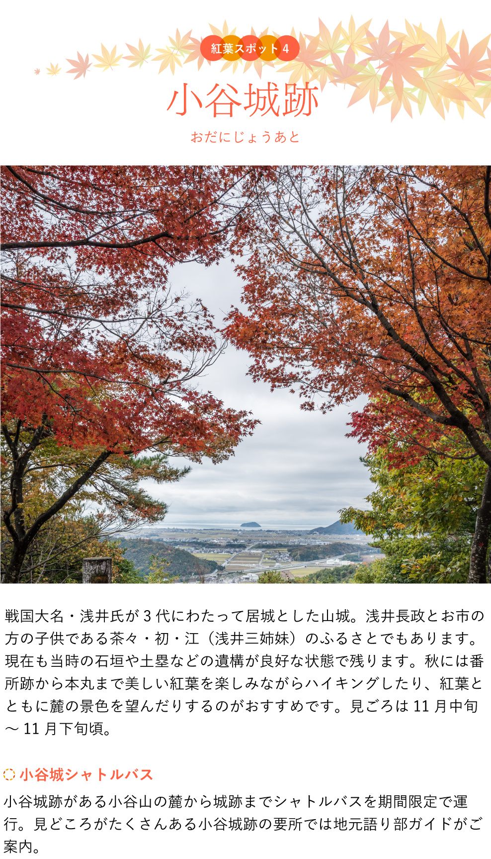 紅葉スポット 小谷城跡