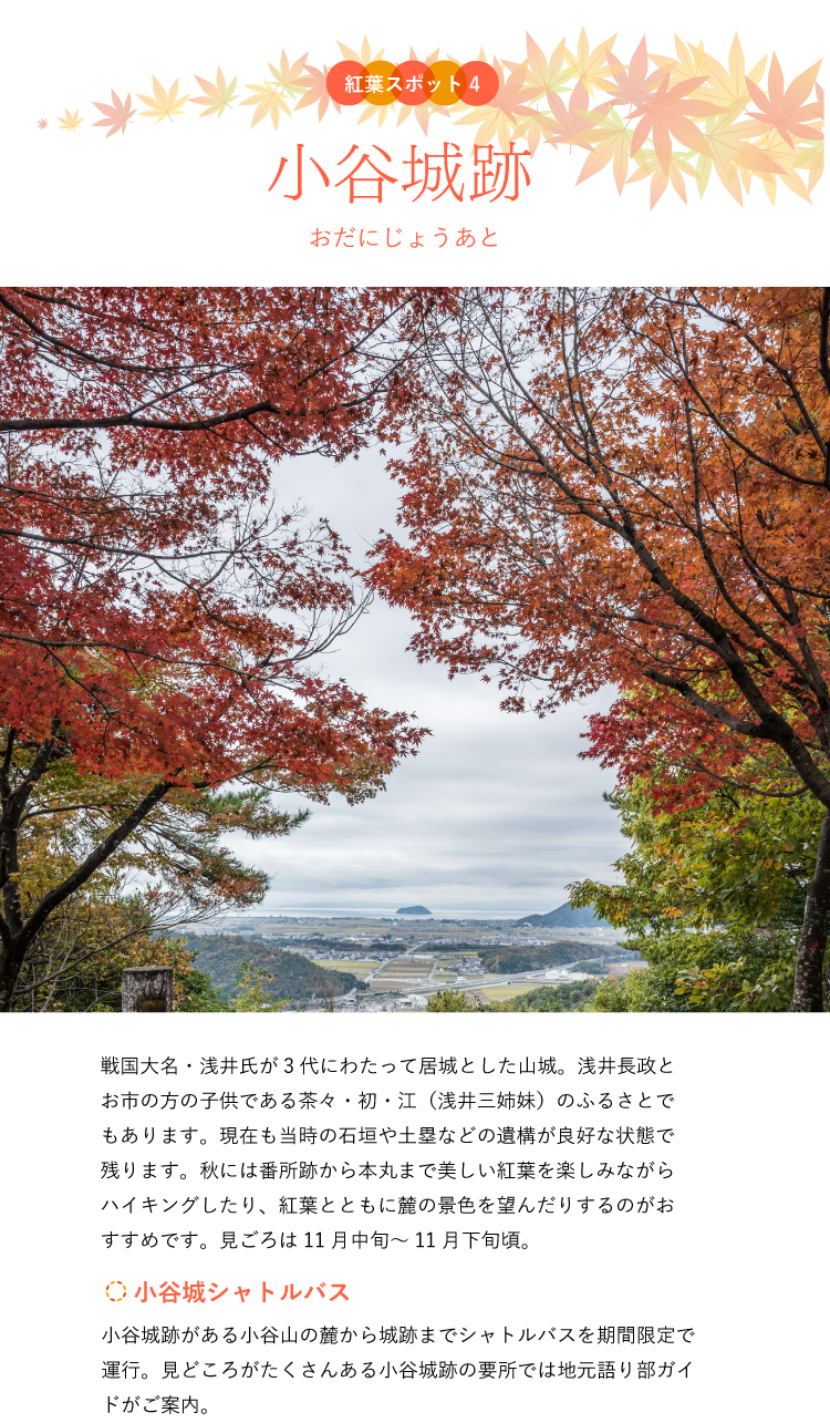 紅葉スポット 小谷城跡