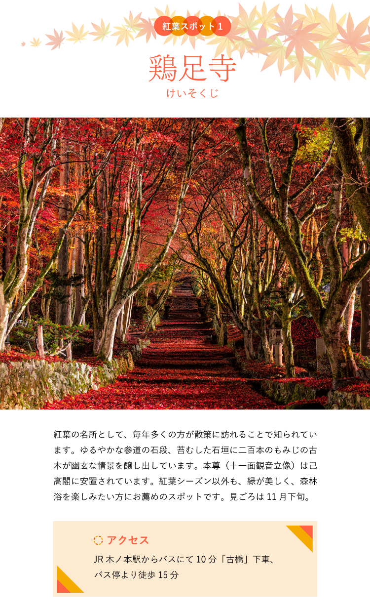 紅葉スポット 鶏足寺