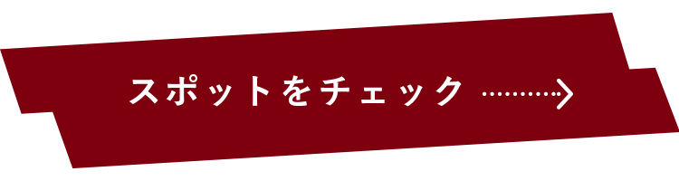 スポットをチェック