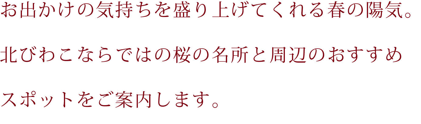北びわこならではの桜の名所と周辺のおすすめスポットをご案内！PC用の大きな画像