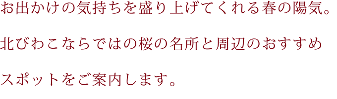 北びわこならではの桜の名所と周辺のおすすめスポットをご案内！SP用の小さな画像