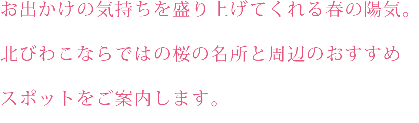 北びわこならではの桜の名所と周辺のおすすめスポットをご案内！PC用の大きな画像