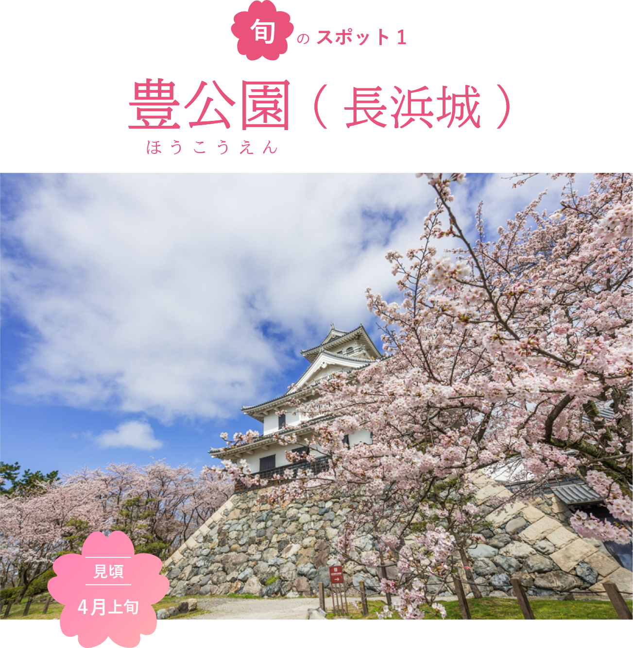 旬のスポット1 豊公園(長浜城)