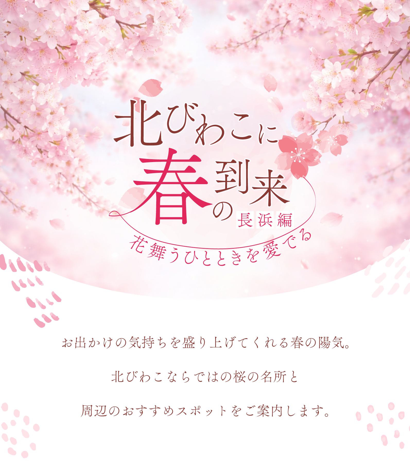 北びわこに春の到来