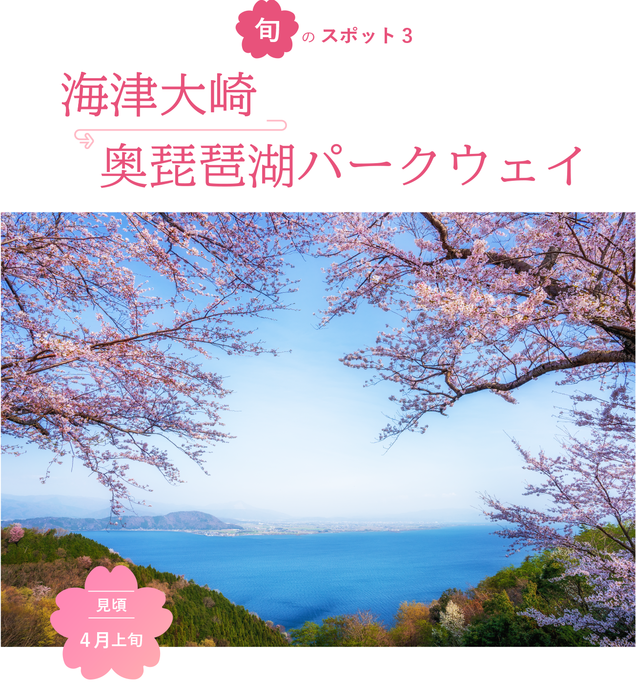 旬のスポット3 海津大崎 奥琵琶湖パークウェイ