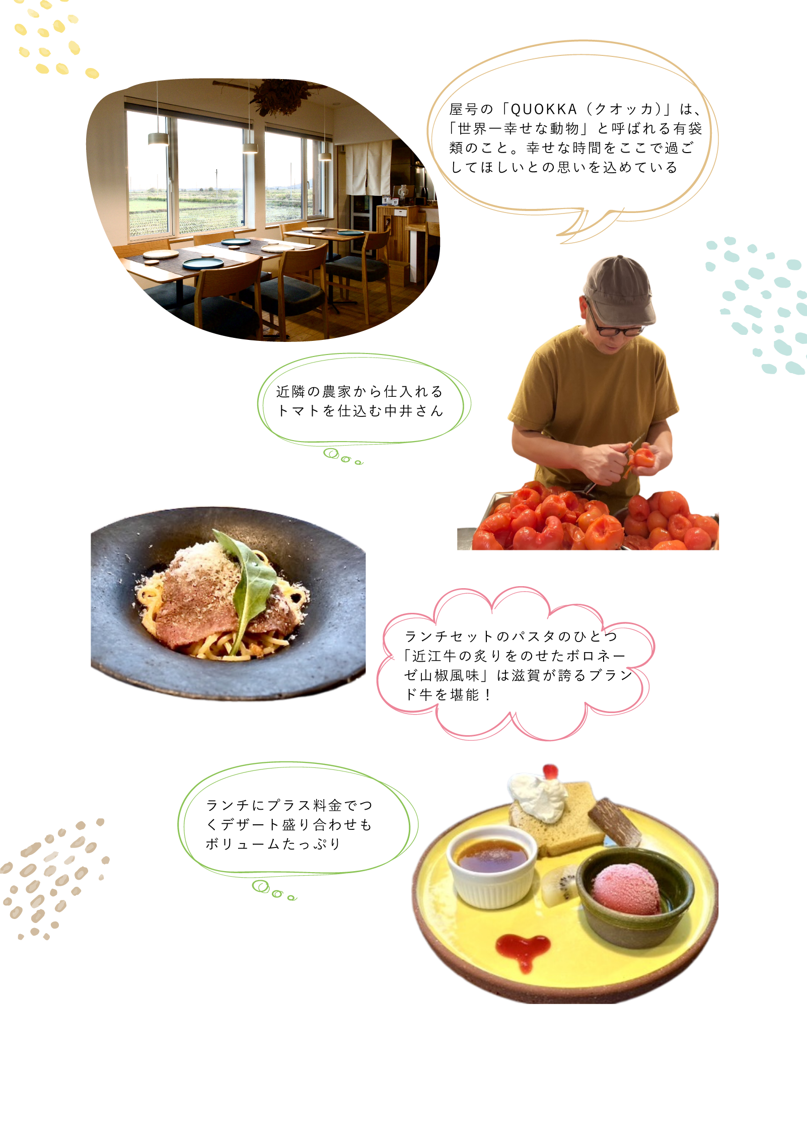 QUOKKA kazu（クオッカ カズ）