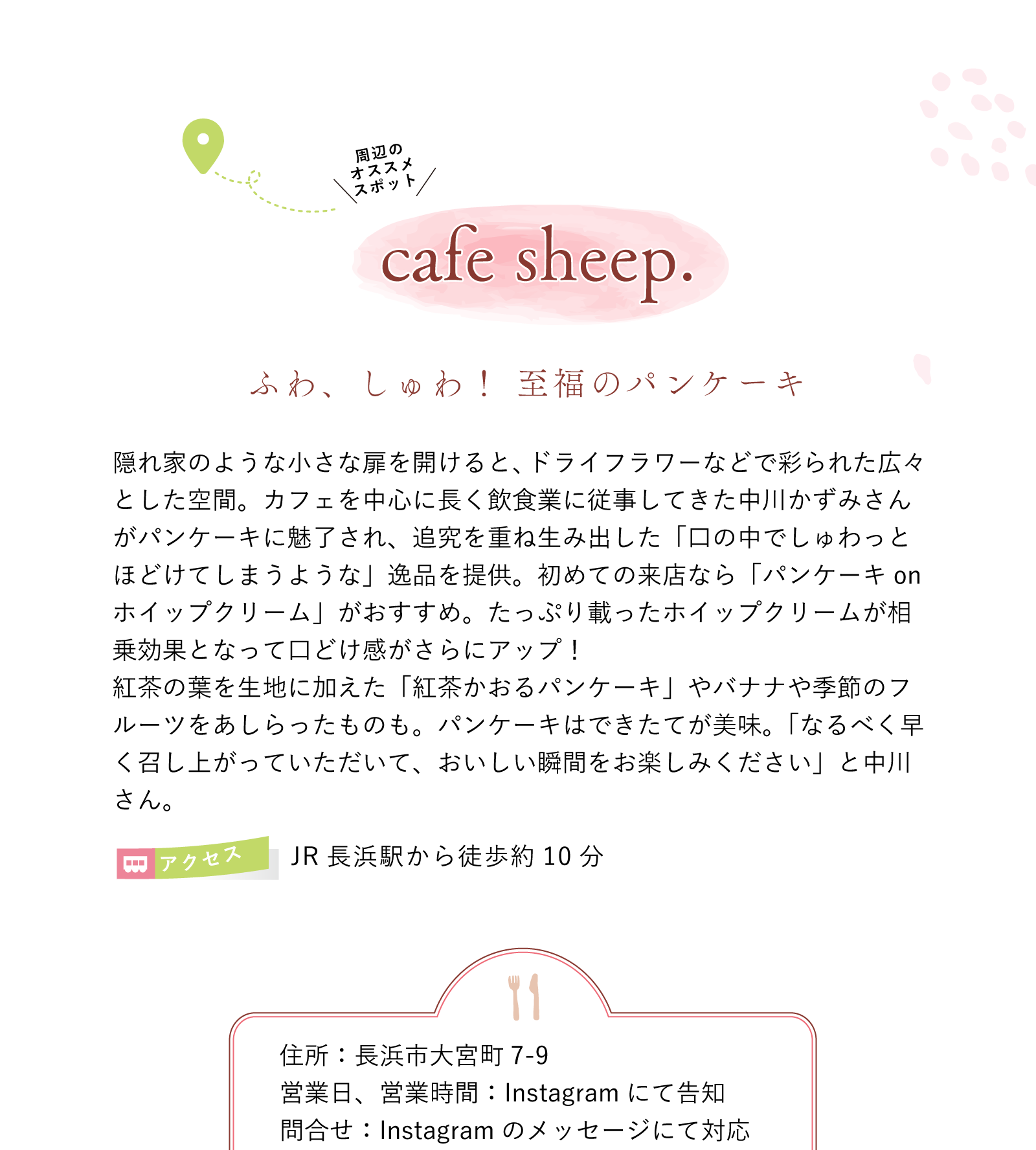 cafe sheep.