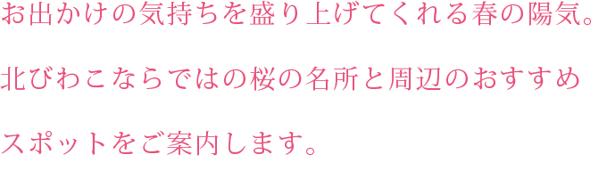 北びわこならではの桜の名所と周辺のおすすめスポットをご案内！SP用の小さな画像