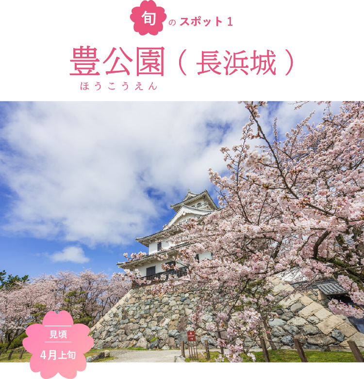 旬のスポット1 豊公園(長浜城)