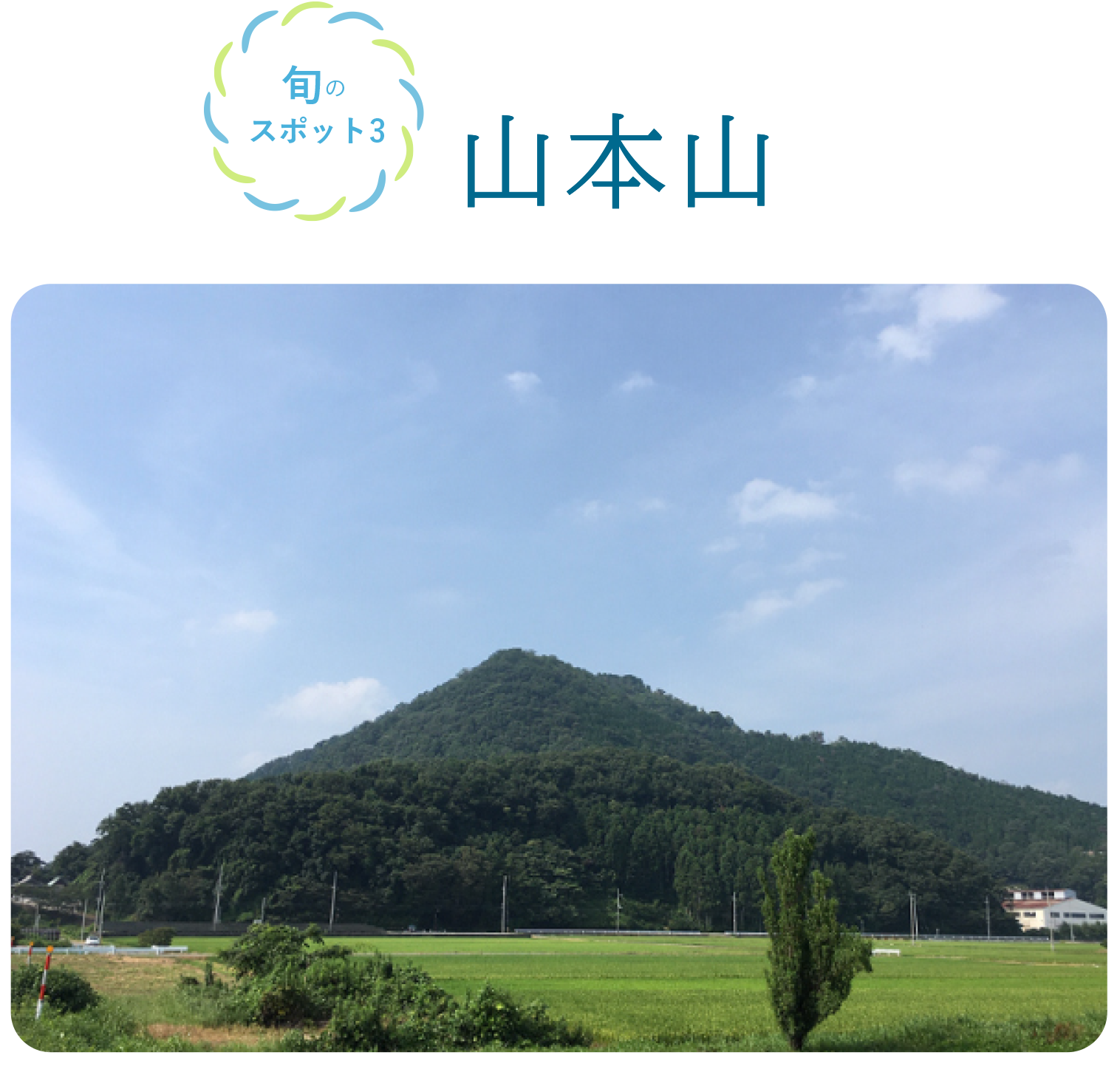 旬のスポット3 山本山