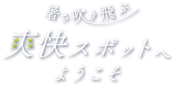 暑さ吹き飛ぶ爽快スポットへようこそ SP用の小さな画像