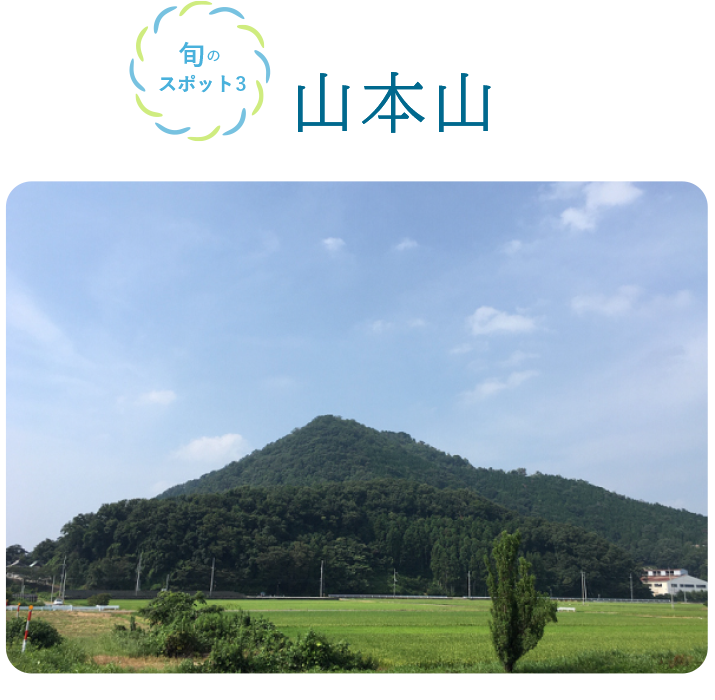 旬のスポット3 山本山