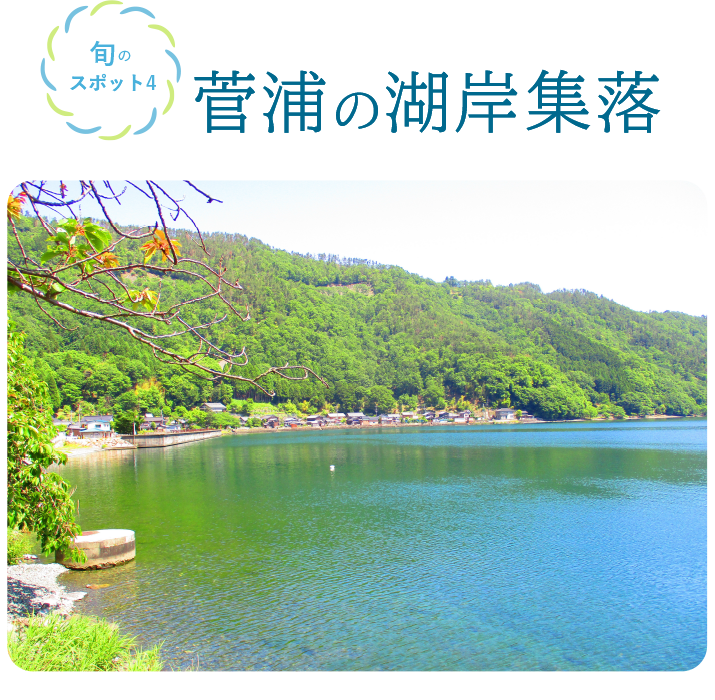 旬のスポット4 菅浦の湖岸集落