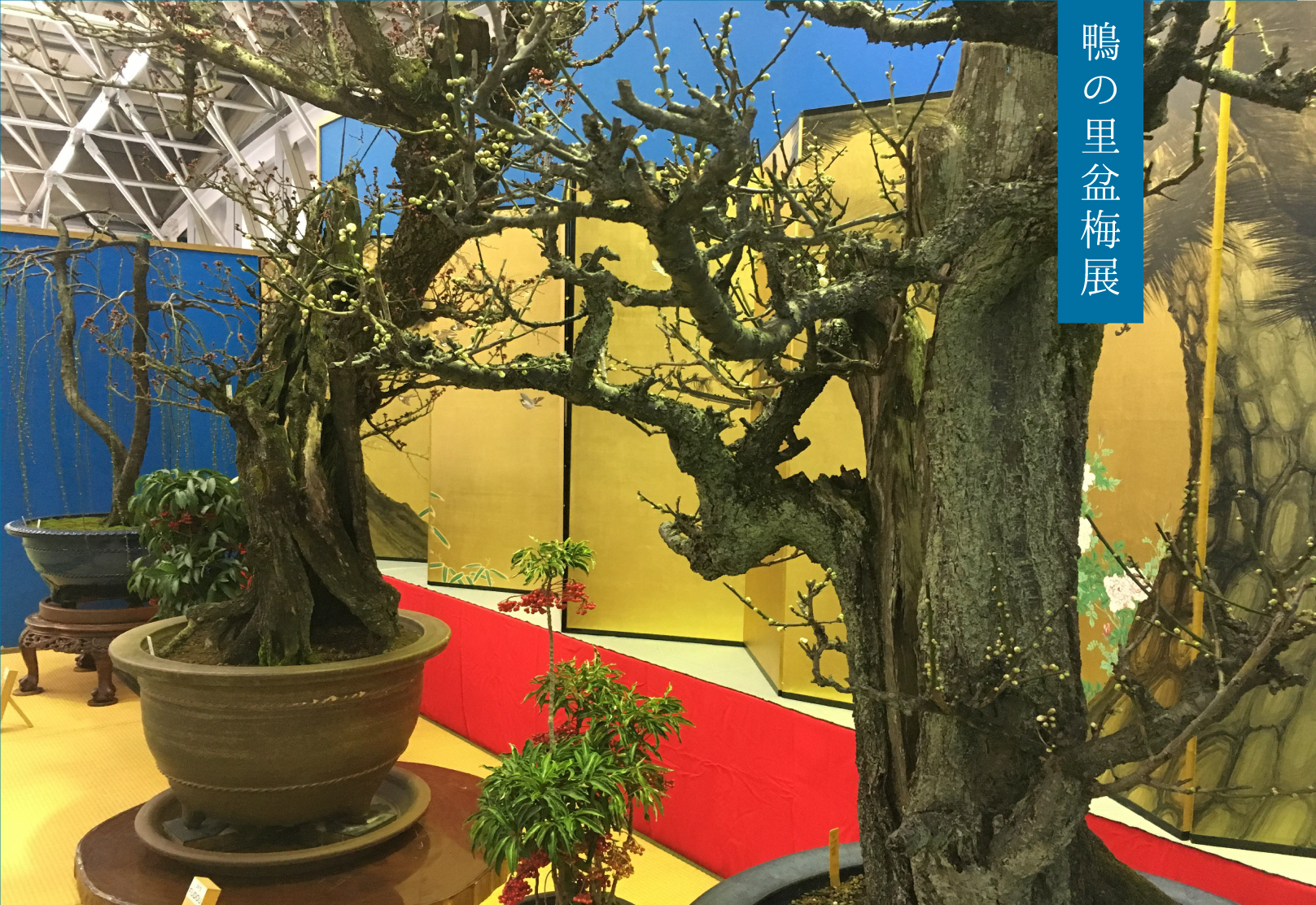 グリーンパーク山東