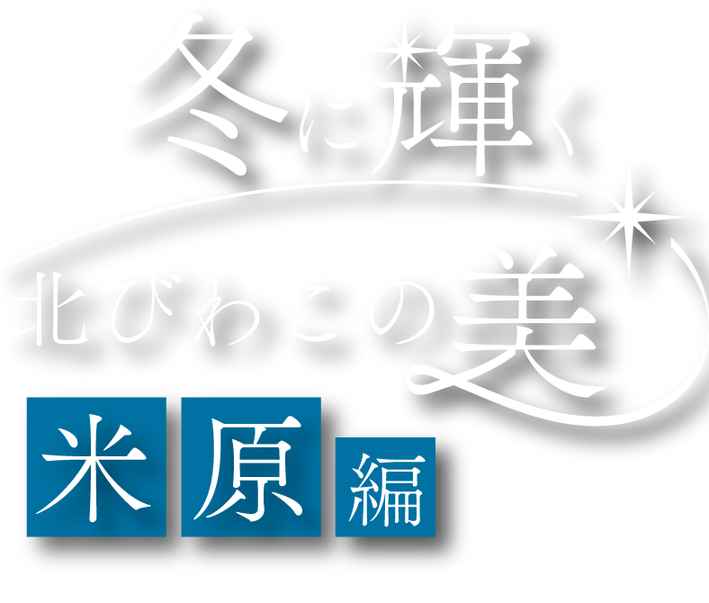 冬に輝く北びわこの美 米原編 PC用の大きな画像