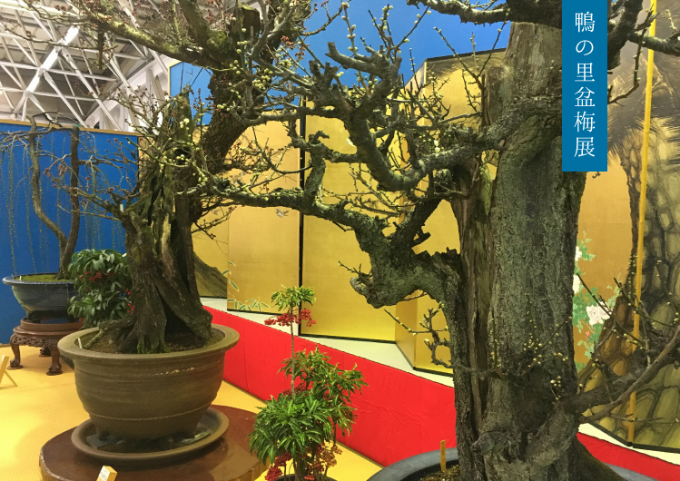 グリーンパーク山東