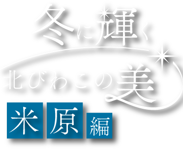 冬に輝く北びわこの美 米原編 SP用の小さな画像