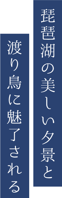 琵琶湖の美しい夕景と 渡り鳥に魅了される