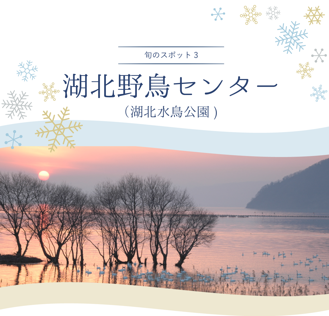 旬のスポット 湖北野鳥センター