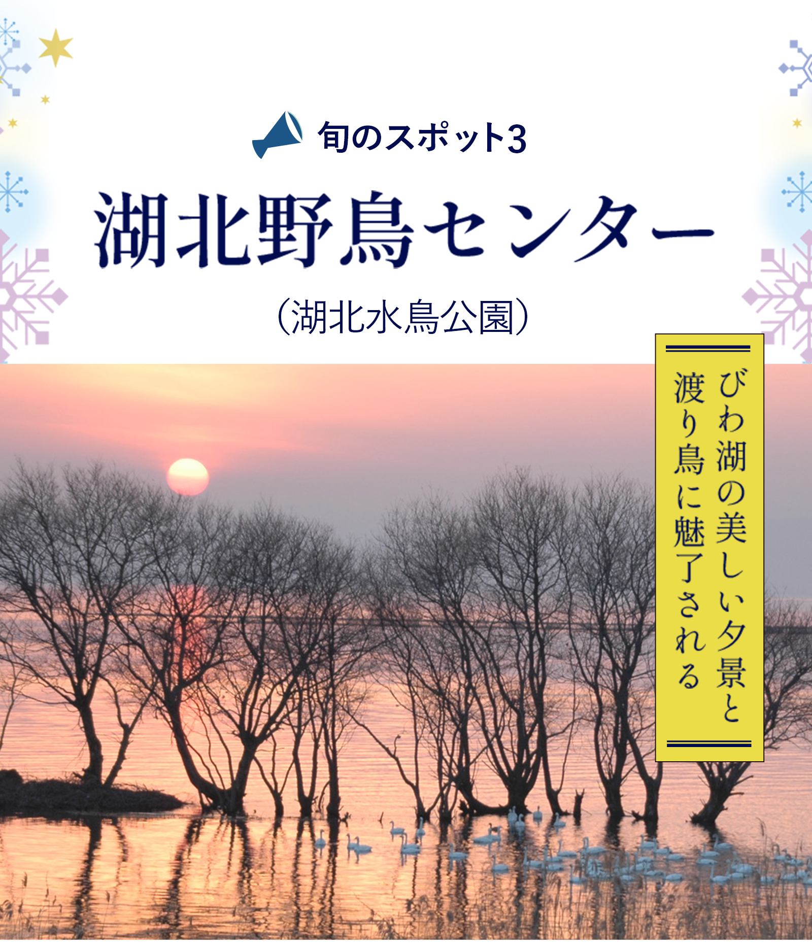 湖北野鳥センター