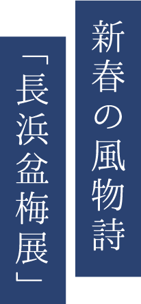 新春の風物詩 「長浜盆梅展」