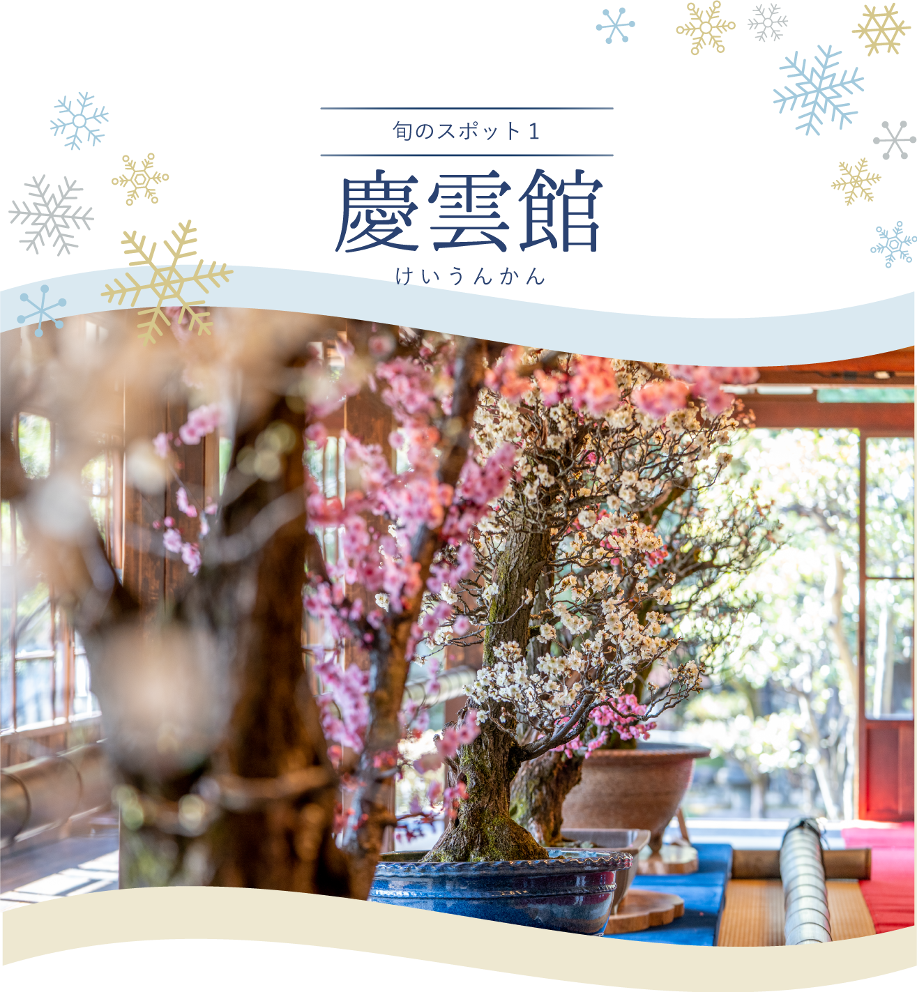 旬のスポット 慶雲館