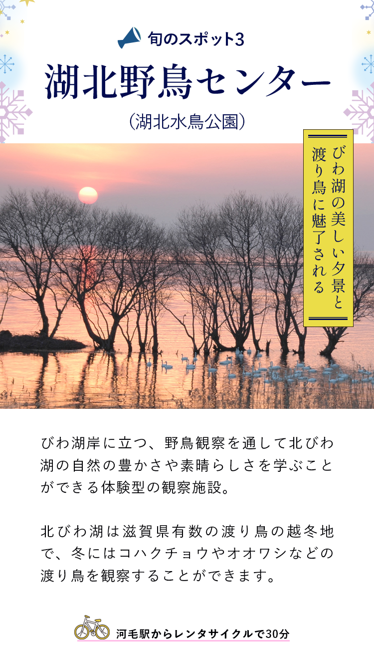 湖北野鳥センター