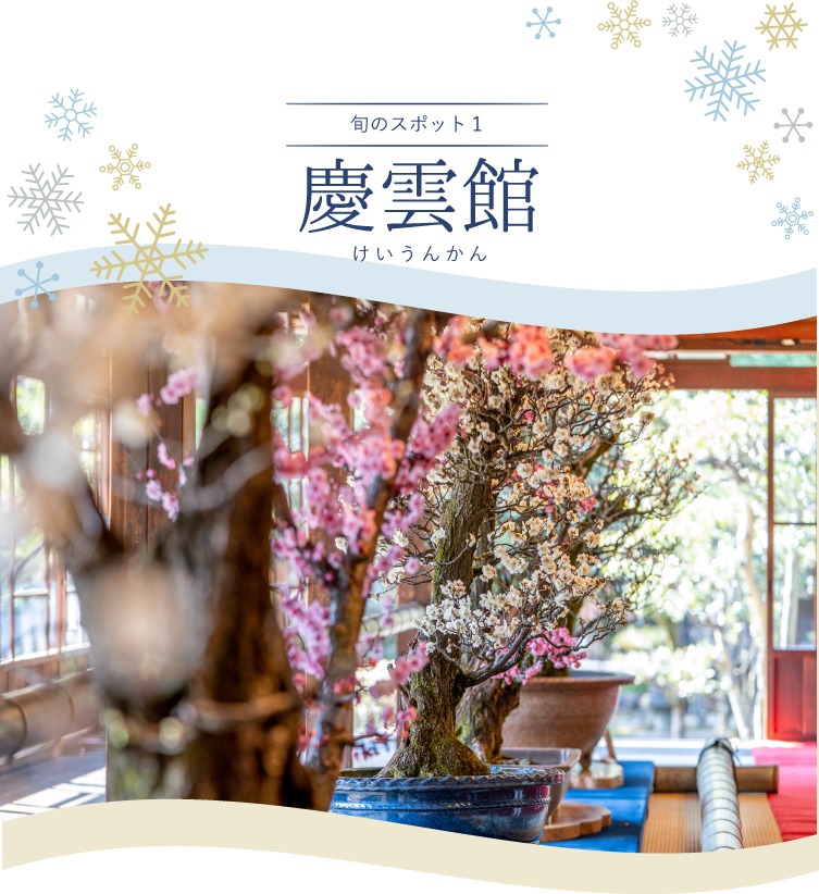 旬のスポット 慶雲館