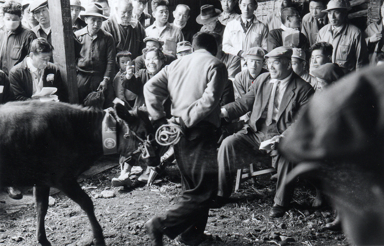 2. Kinomoto Livestock Market