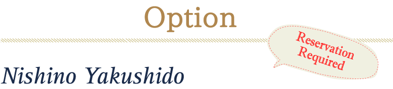 Option Nishino Yakushido